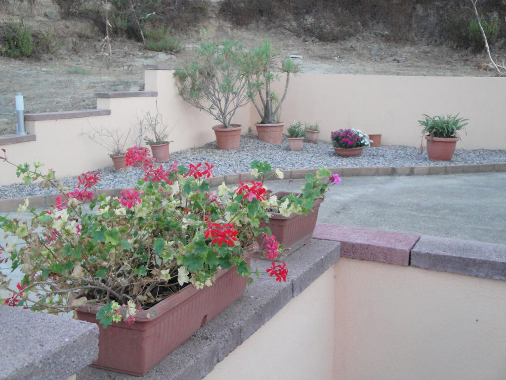 La Jatta Hotel Budoni Exterior photo